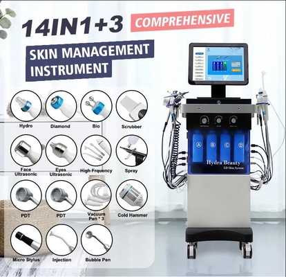 여드름 치료를 위한 Ac110v H2o2 얼굴 기계