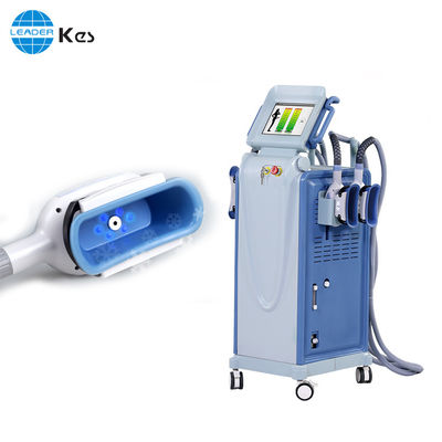 뚱뚱한 감소 Cryolipolysis 기계 진공 셀룰라이트 제거를 체중을 줄이는 수직 기계