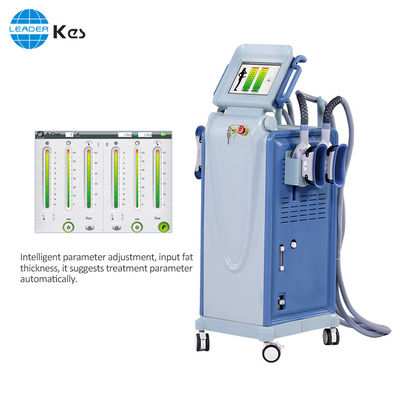 체중 감소를 위한 강력한 Cryolipolysis 기계 몸 더 호리호리한 기계